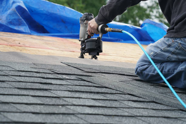 Best Roof Gutter Cleaning  in San Antonio Heights, CA